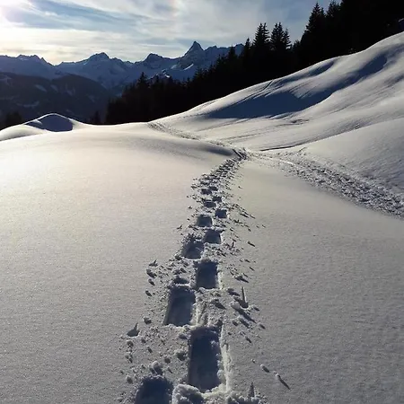 Panorama Erlebnis Bartholomäberg